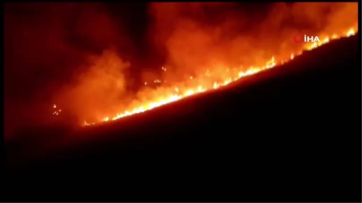 Bodrum'da otluk ve makilik yerde yangın: 15 dönüm alan kül oldu