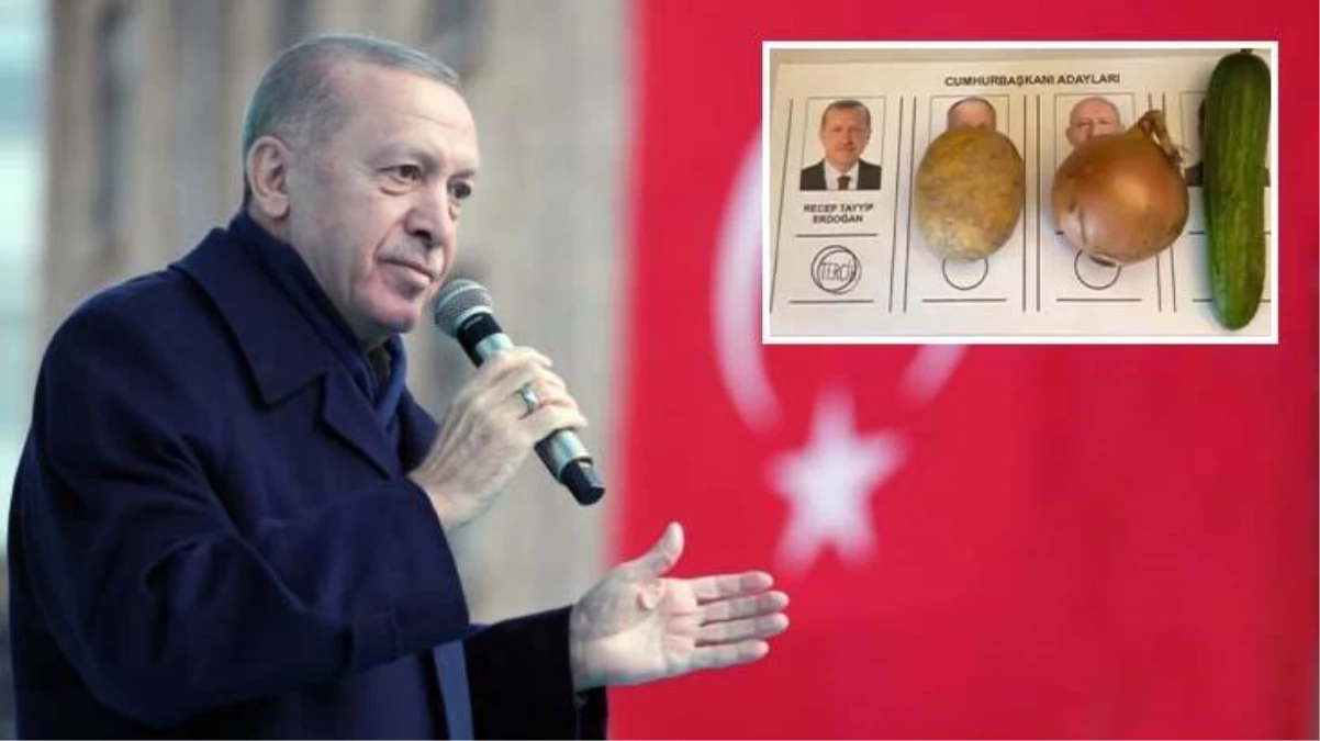 Patates soğanlı oy pusulası fotoğrafı Erdoğan'ı mest etti: Benim vatandaşım bu işi biliyor