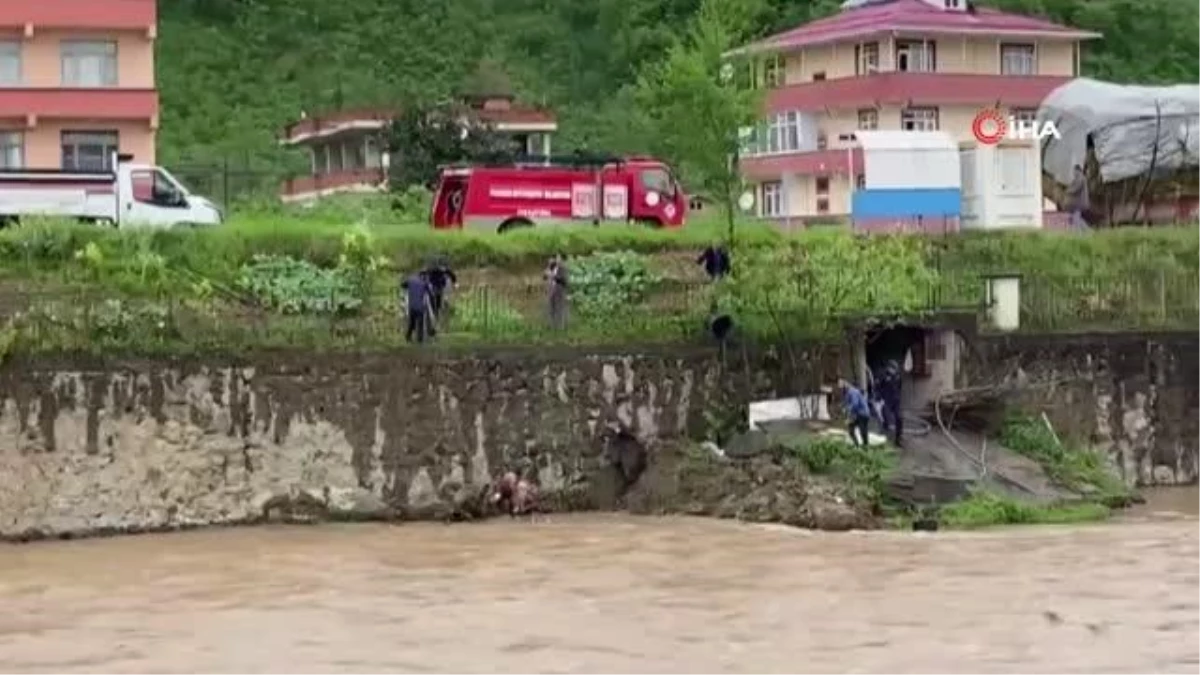 Trabzon'da dereye düşen karaca kurtarıldı